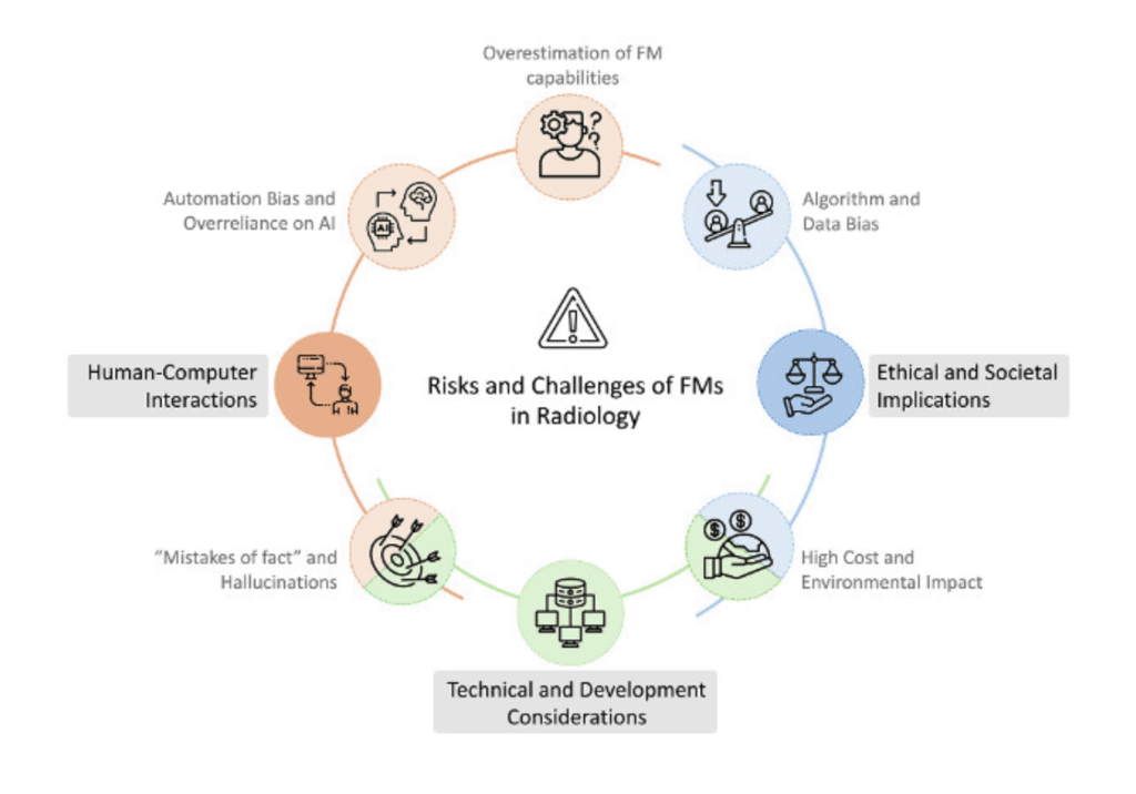 영상의학 파운데이션 모델 도입 시 고려해야 할 위험 및 과제들을 기술, 인간-컴퓨터 상호작용, 윤리적 측면으로 분류한 방사형 도식